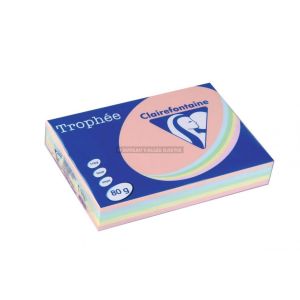 500 feuilles papier couleurs pastels a4 80 g clairefontaine trophe